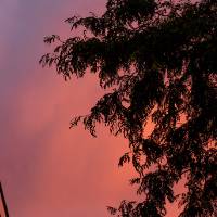 Lake Ontario Hall summer